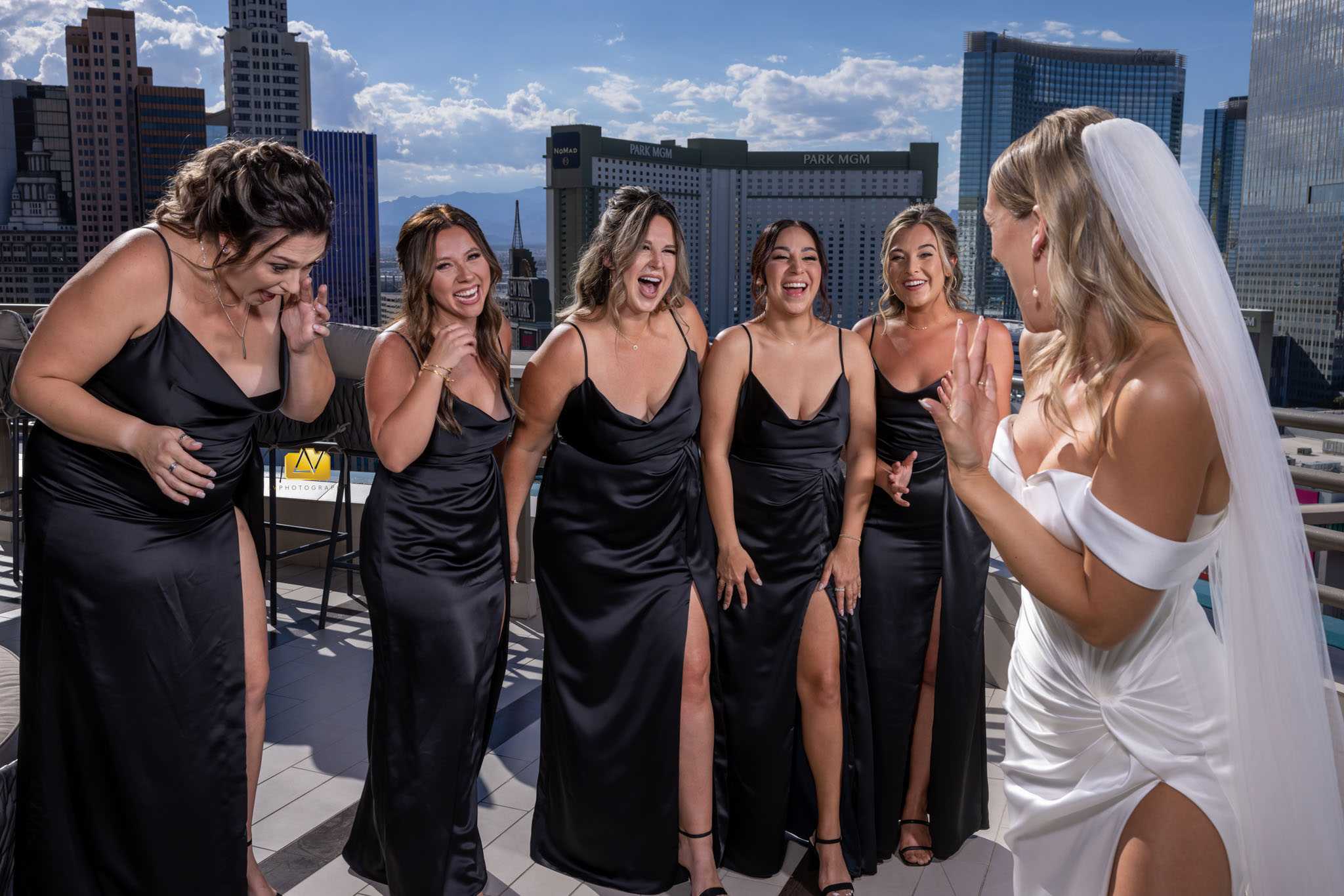 Best Wedding Bridal Party Photographer for Las Vegas NV